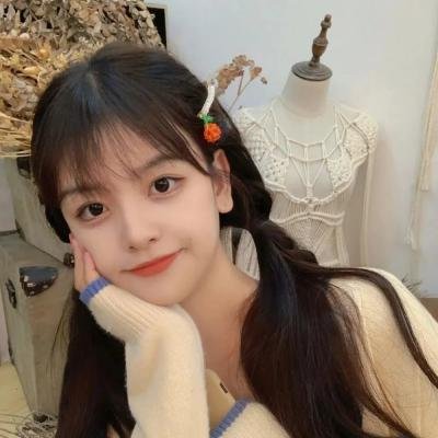 代号美洲豹