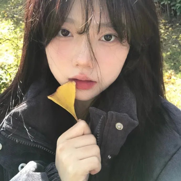 玩命爱个姑娘